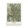 Map of Jackson, California, 12 x 18 inch unframed archival matte print