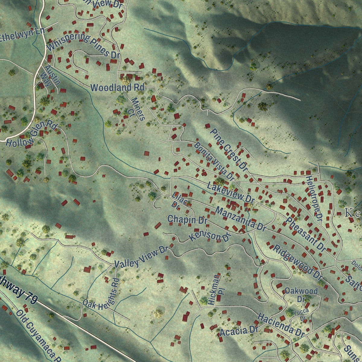 Close-up of the map of Julian, California print showing street and building detail