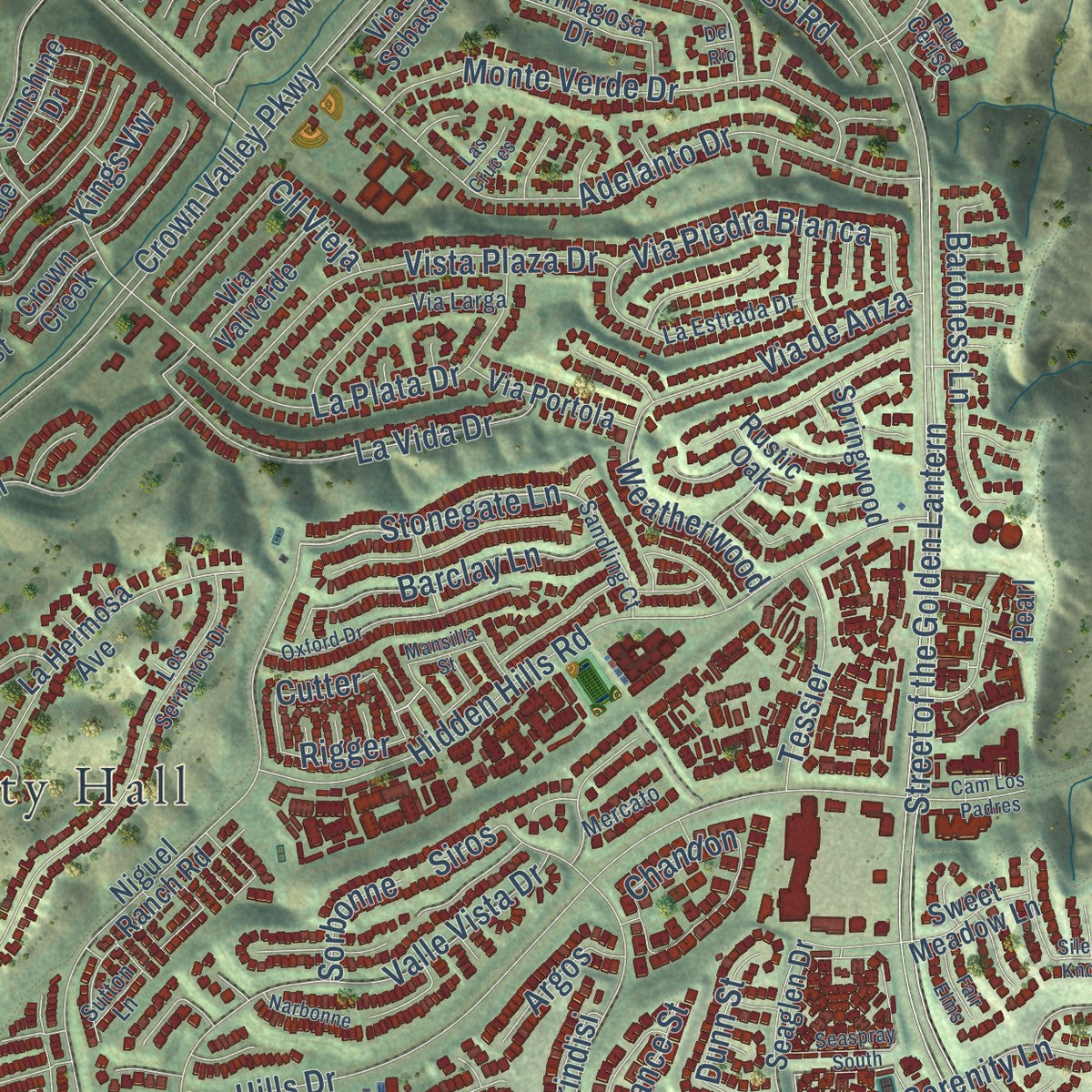 Close-up of the map of Laguna Niguel, California print showing street and building detail