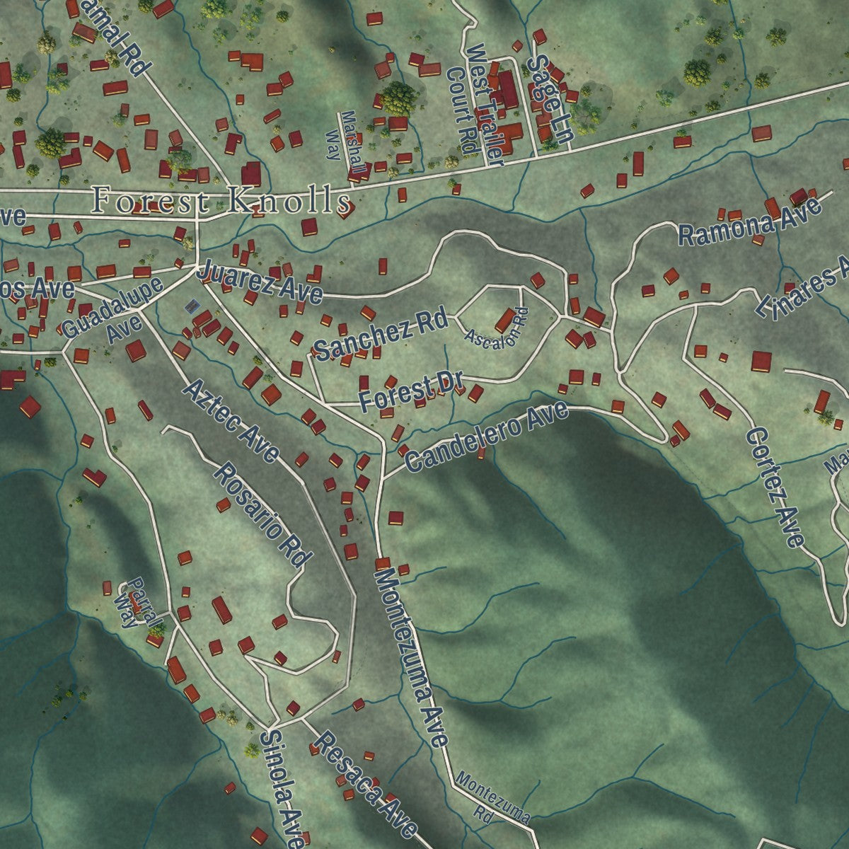 Close-up of the map of Lagunitas-Forest Knolls, California print showing street and building detail
