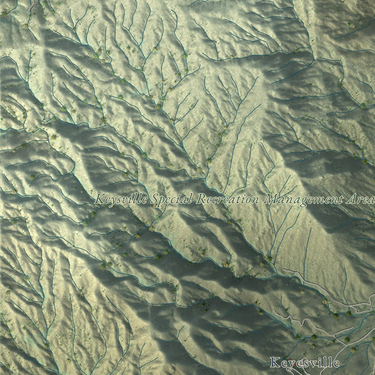 Close-up of the map of Lake Isabella, California print showing street and building detail