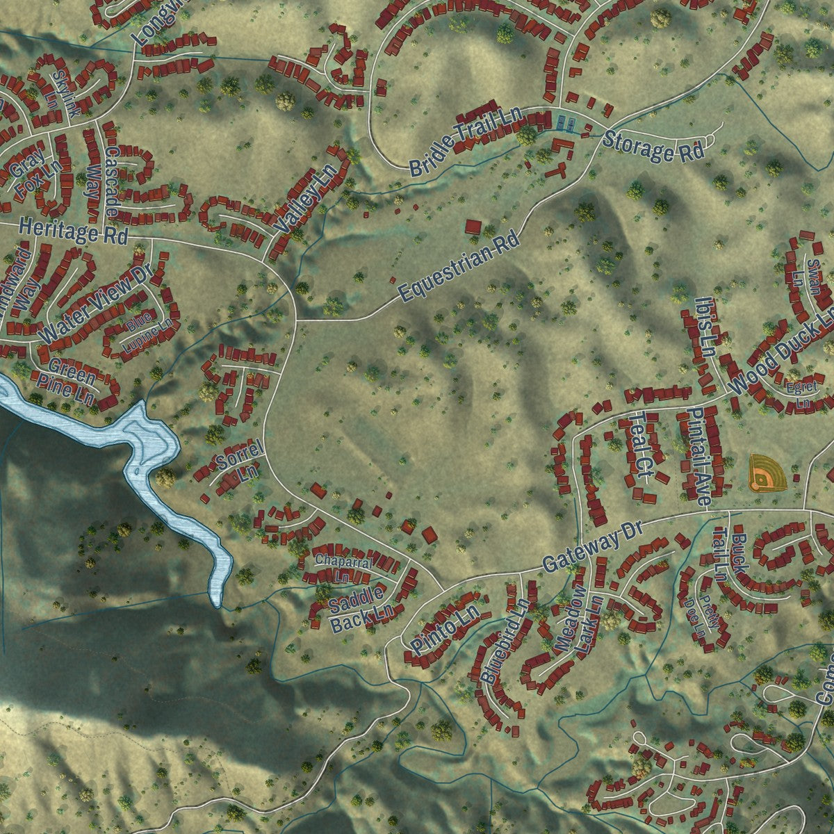 Close-up of the map of Lake Nacimiento, California print showing street and building detail