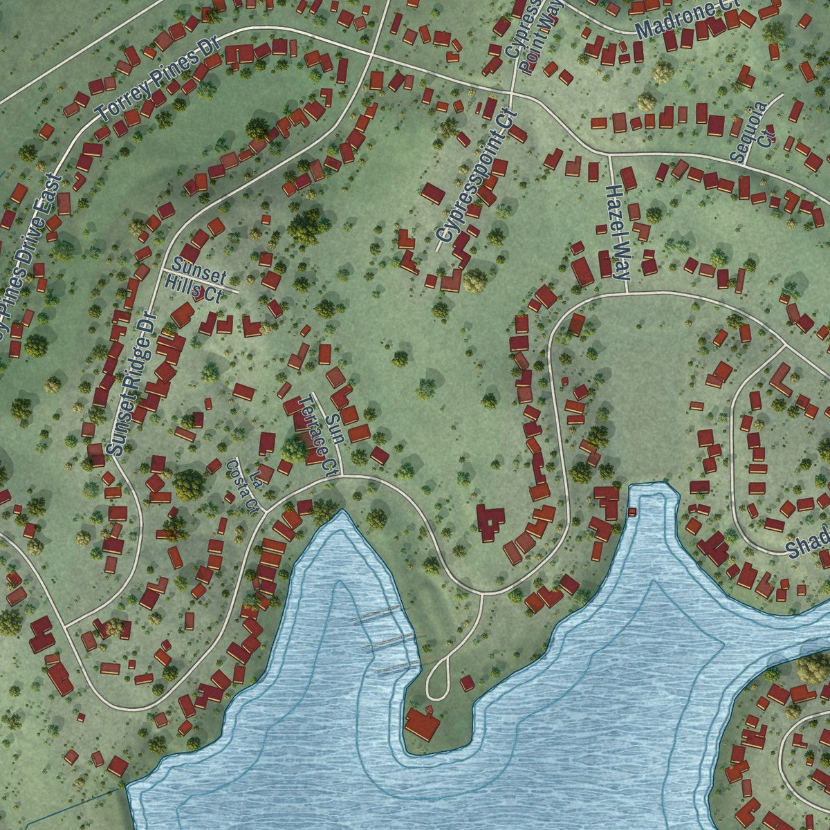 Close-up of the map of Lake of the Pines, California print showing street and building detail