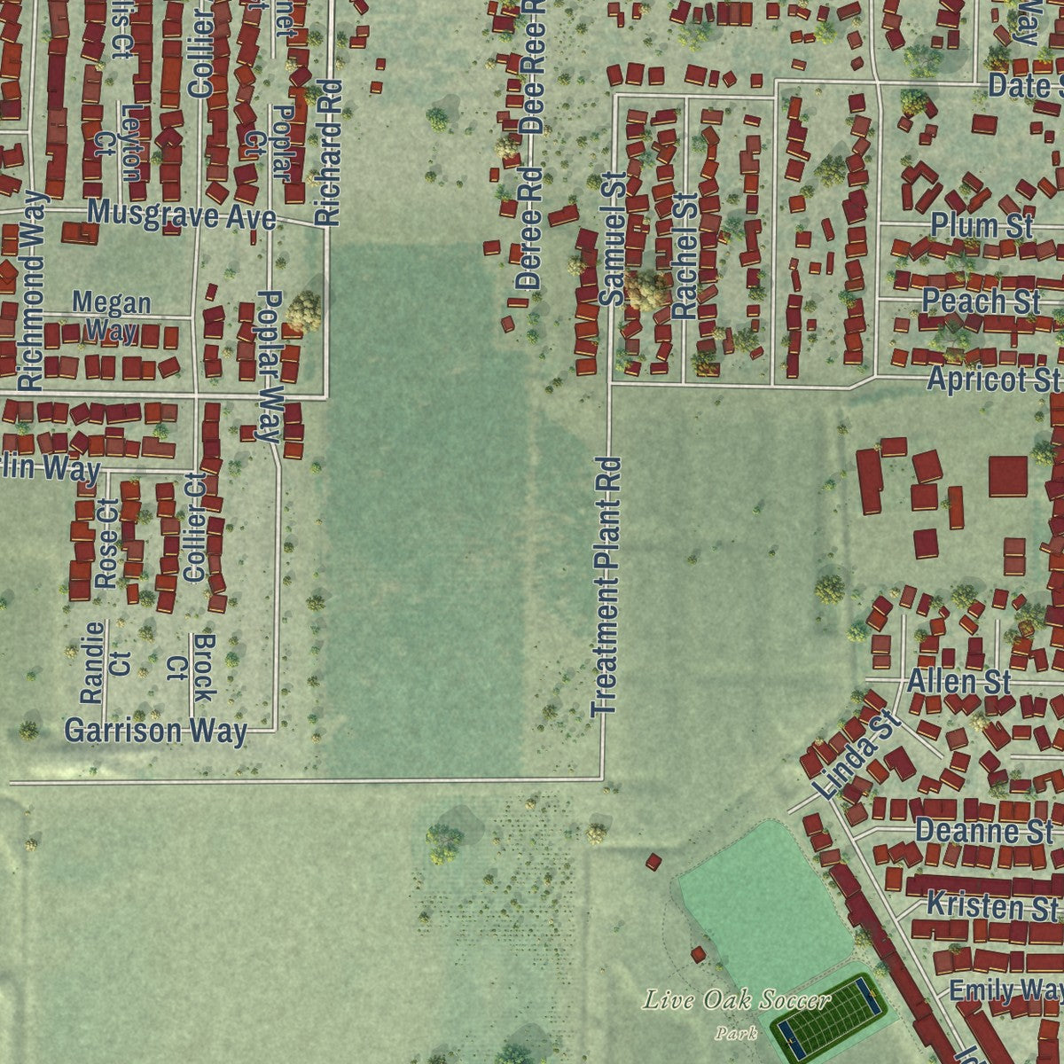 Second close-up of the map of Live Oak, Sutter County, California print showing more streets and buildings