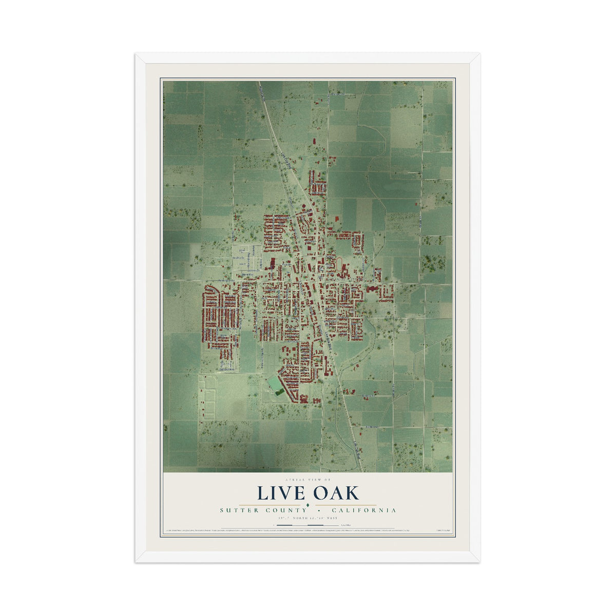 Map of Live Oak, Sutter County, California, 12 x 18 inch print in a white wood frame