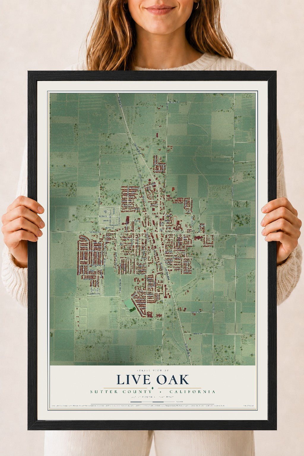 Map of Live Oak, Sutter County, California, 18 x 24 inch print in a black wood frame