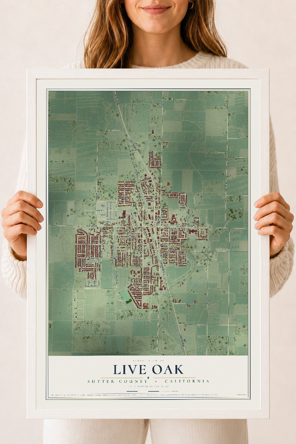 Map of Live Oak, Sutter County, California, 18 x 24 inch print in a white wood frame