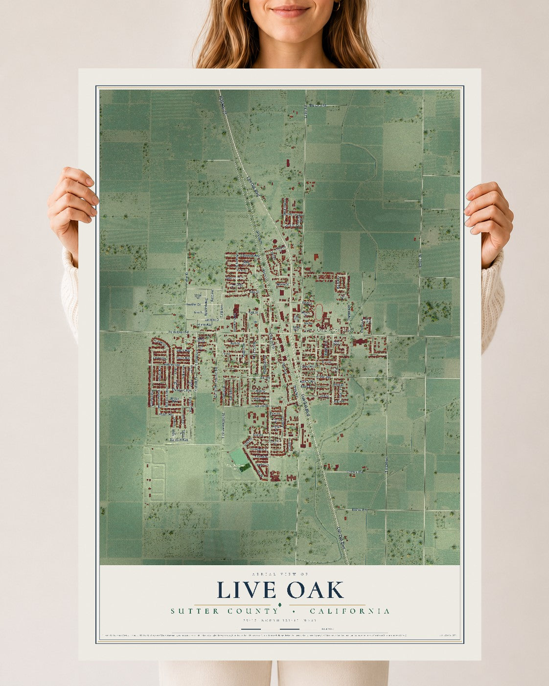 Map of Live Oak, Sutter County, California, 24 x 36 inch unframed archival matte print