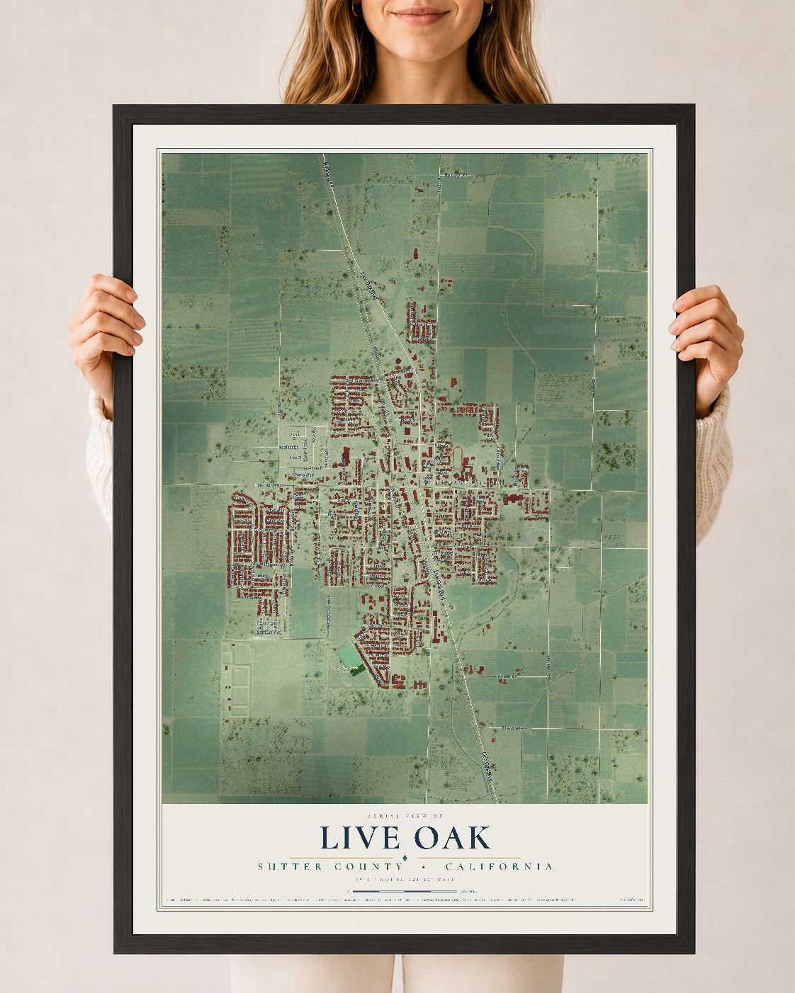Map of Live Oak, Sutter County, California, 24 x 36 inch print in a black wood frame
