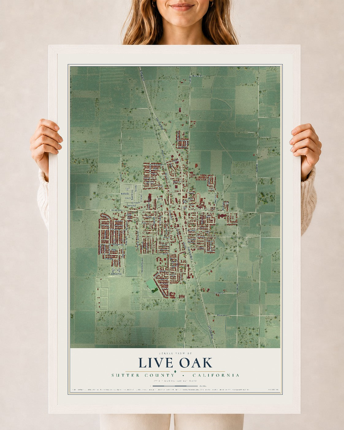 Map of Live Oak, Sutter County, California, 24 x 36 inch print in a white wood frame