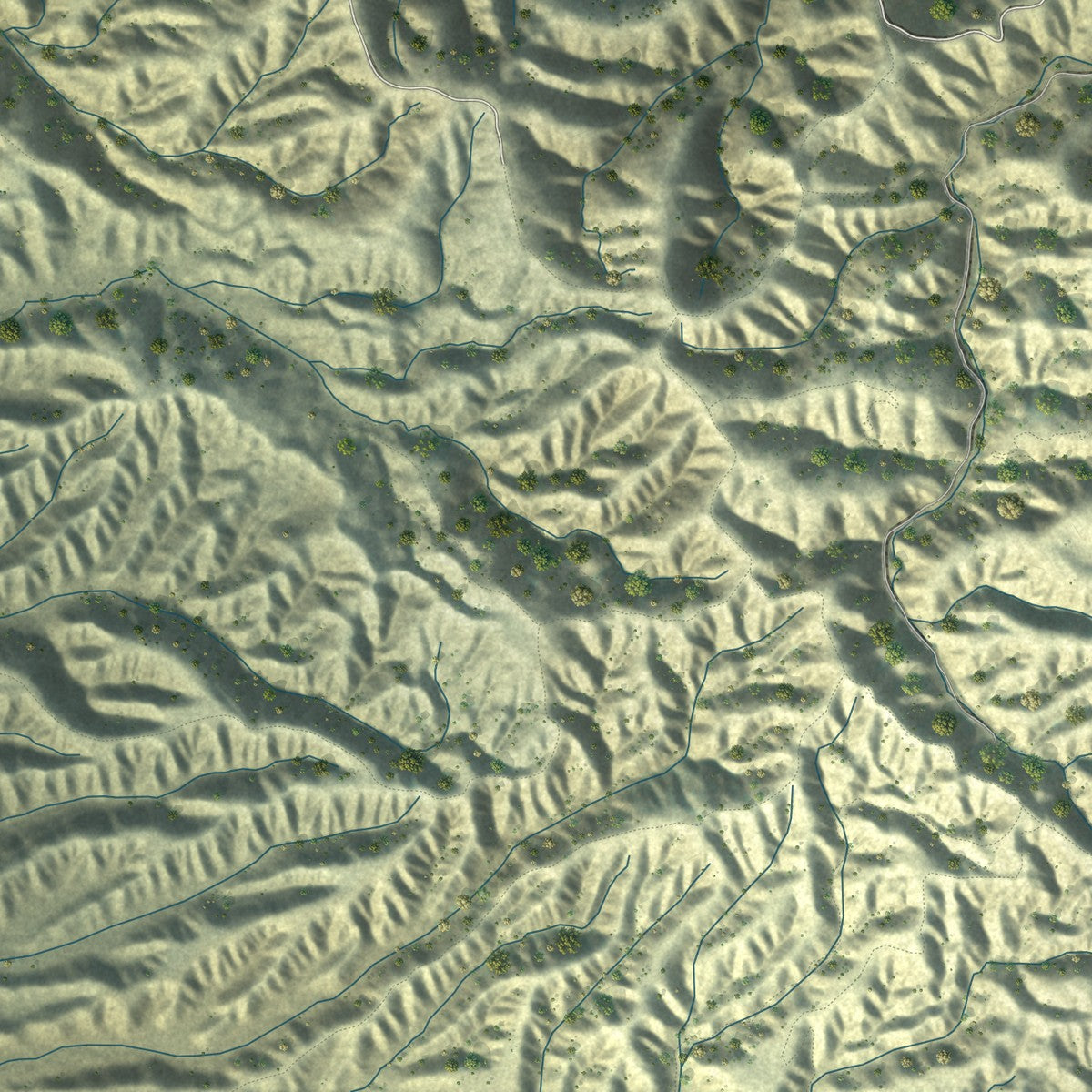 Close-up of the map of Loma Linda, California print showing street and building detail