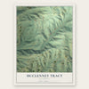McClenney Tract, California map print, the full design