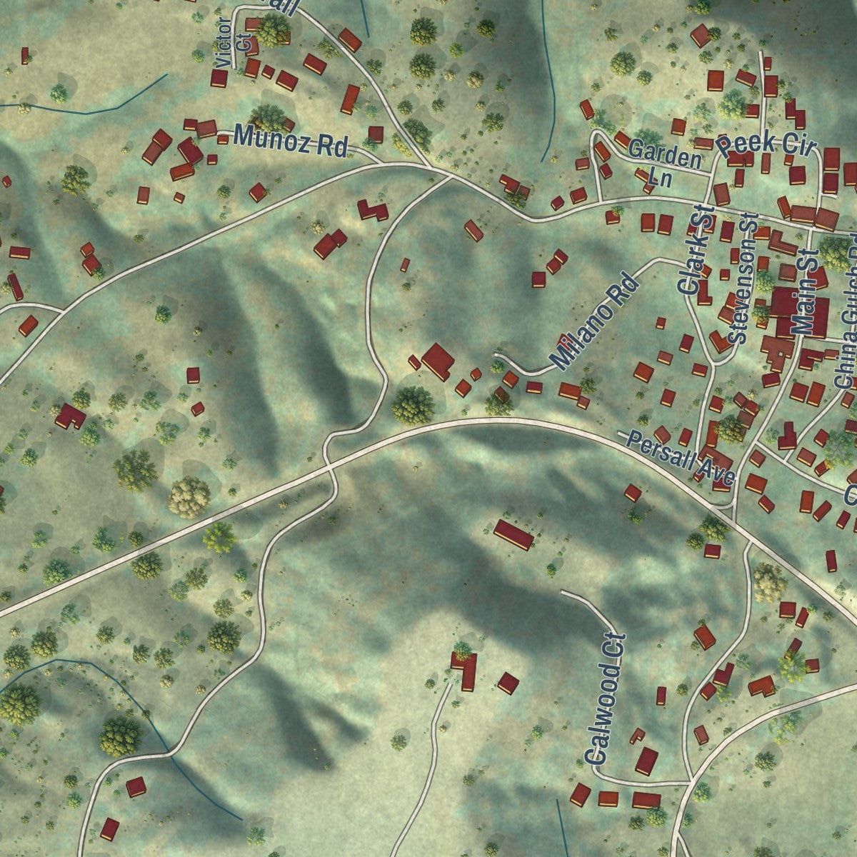 Close-up of the map of Mokelumne Hill, California print showing street and building detail