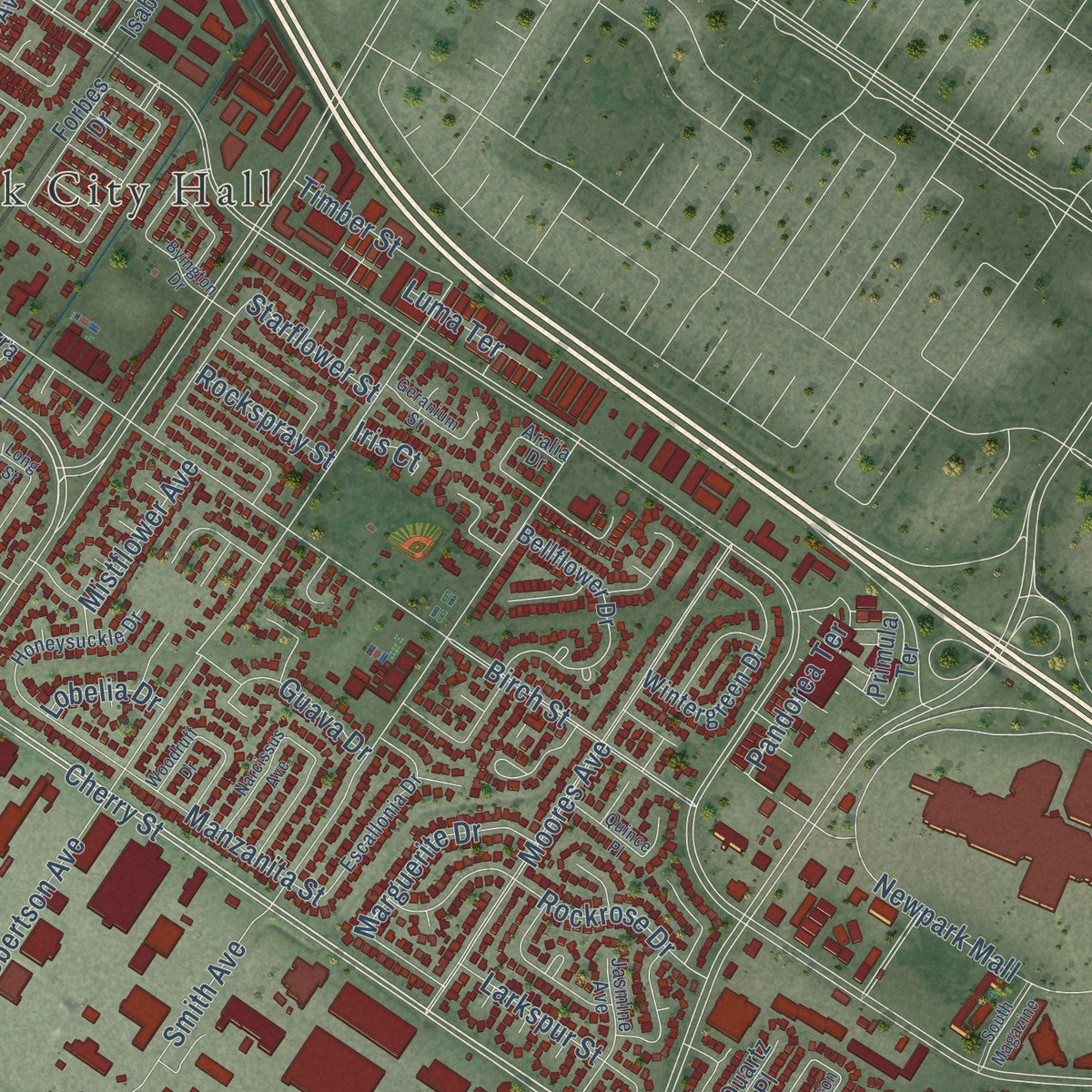 Second close-up of the map of Newark, California print showing more streets and buildings