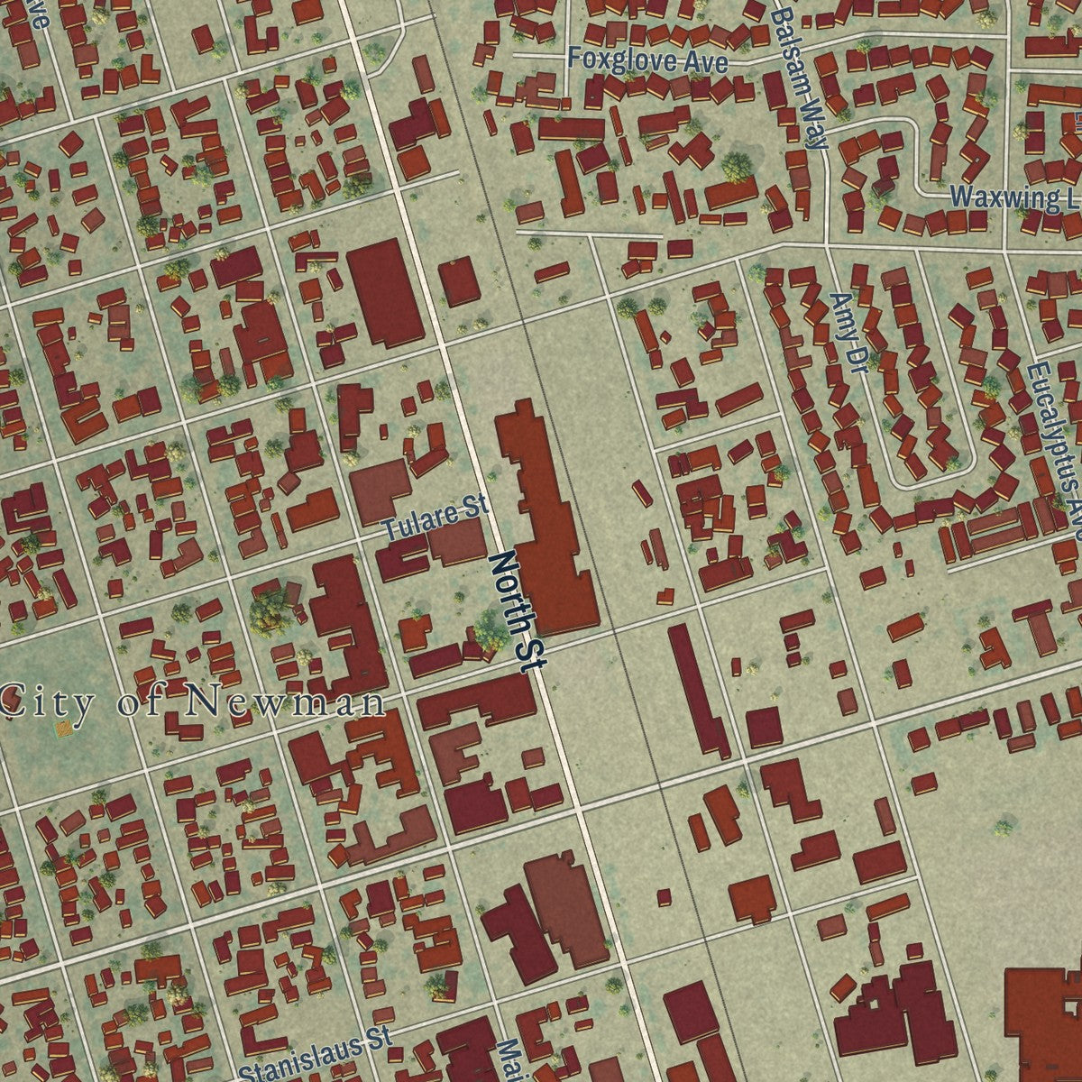 Close-up of the map of Newman, California print showing street and building detail
