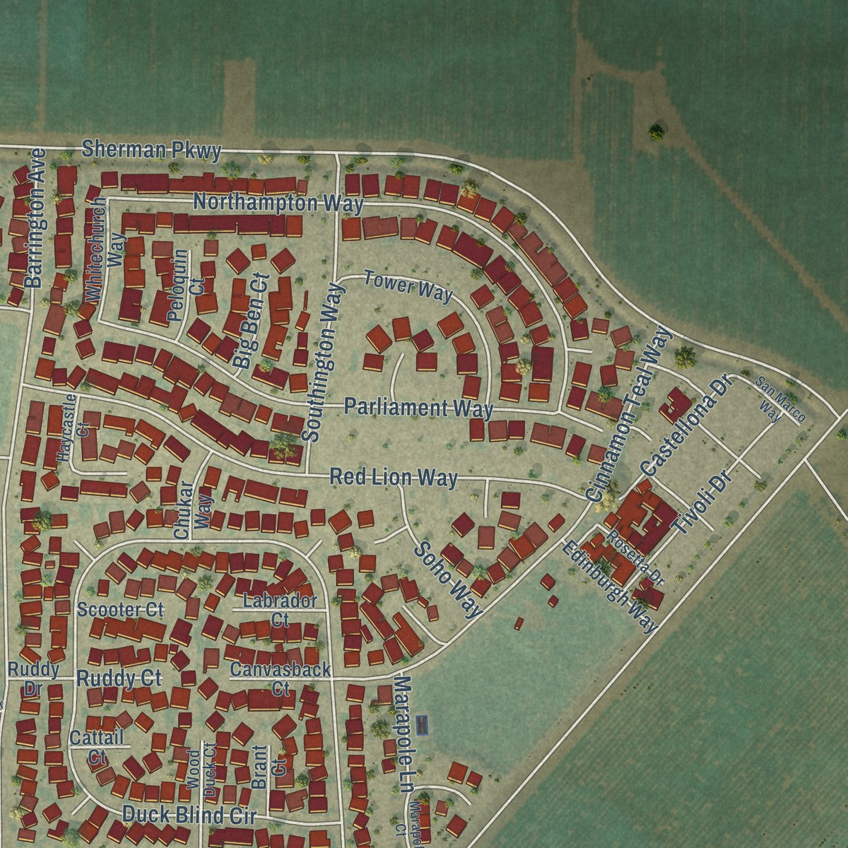 Second close-up of the map of Newman, California print showing more streets and buildings