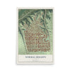 Map of Normal Heights, California, 12 x 18 inch unframed archival matte print