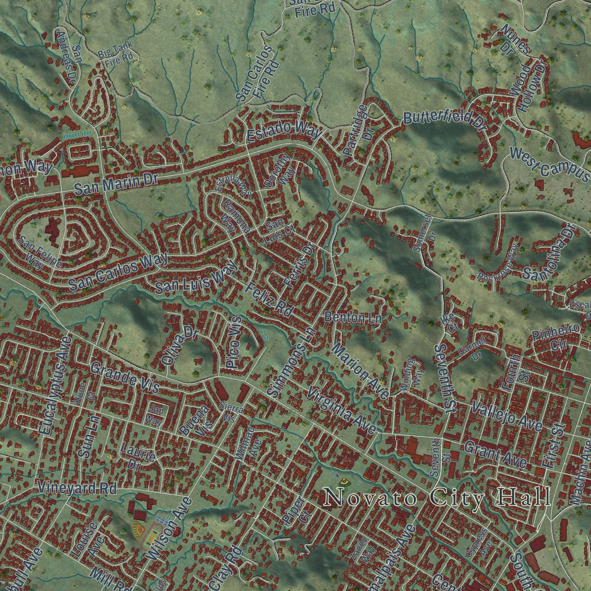 Close-up of the map of Novato, California print showing street and building detail
