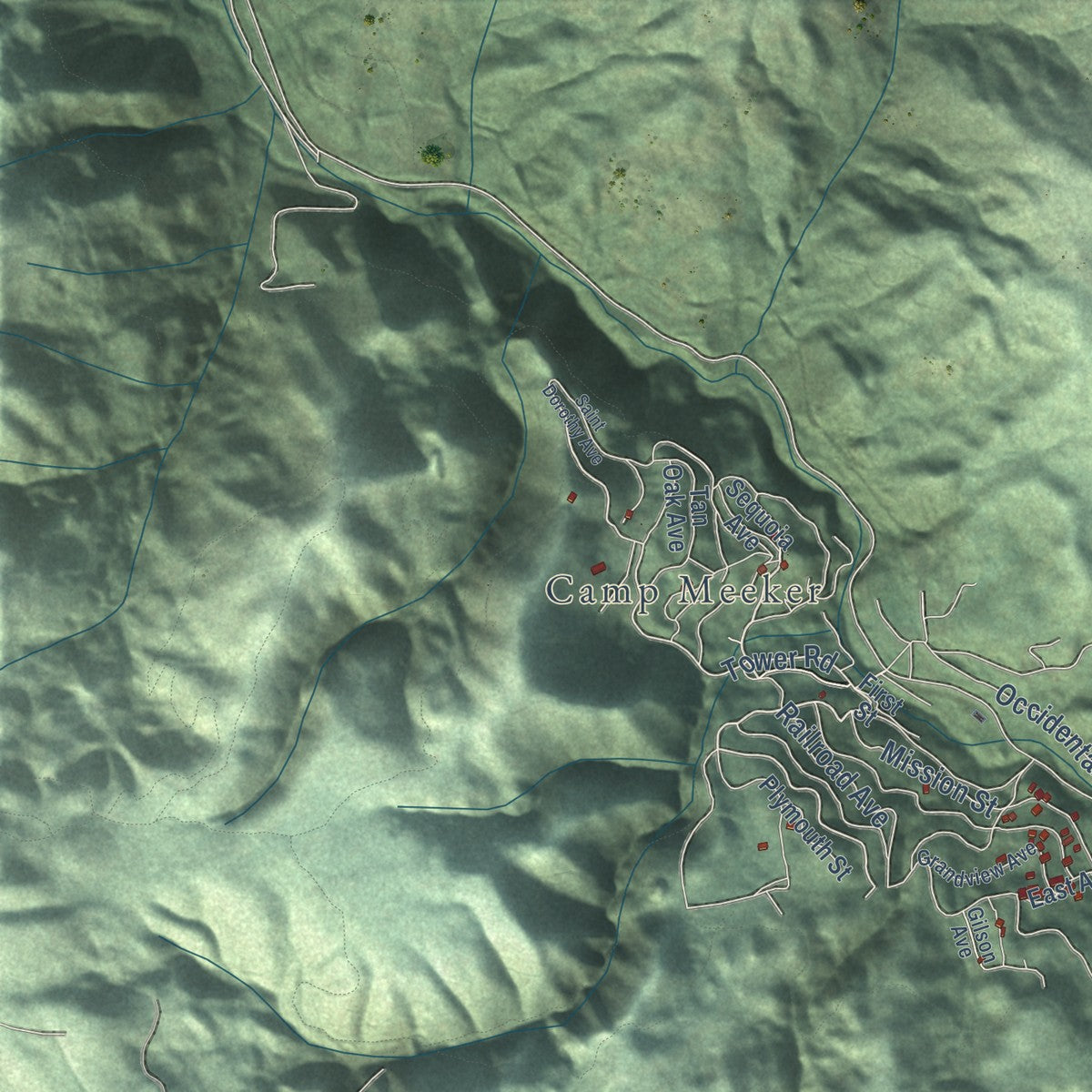 Close-up of the map of Occidental, California print showing street and building detail