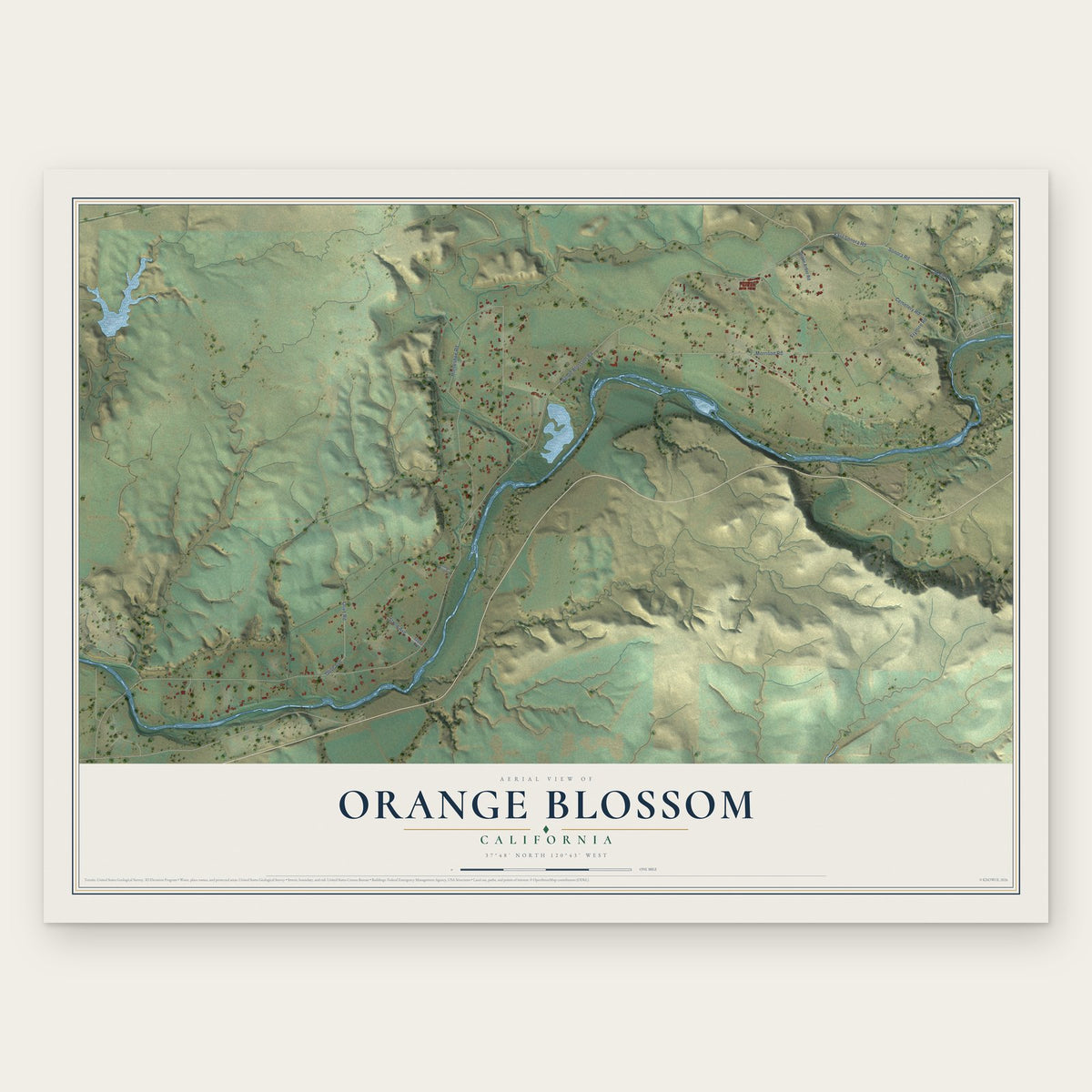 Orange Blossom, California map print, the full design