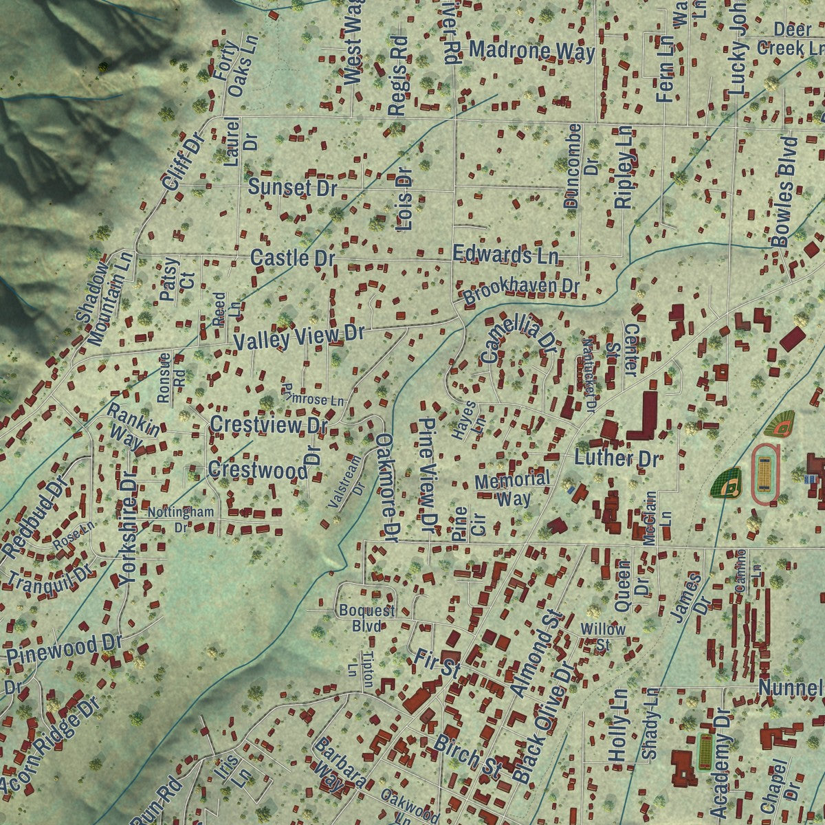 Second close-up of the map of Paradise, California print showing more streets and buildings
