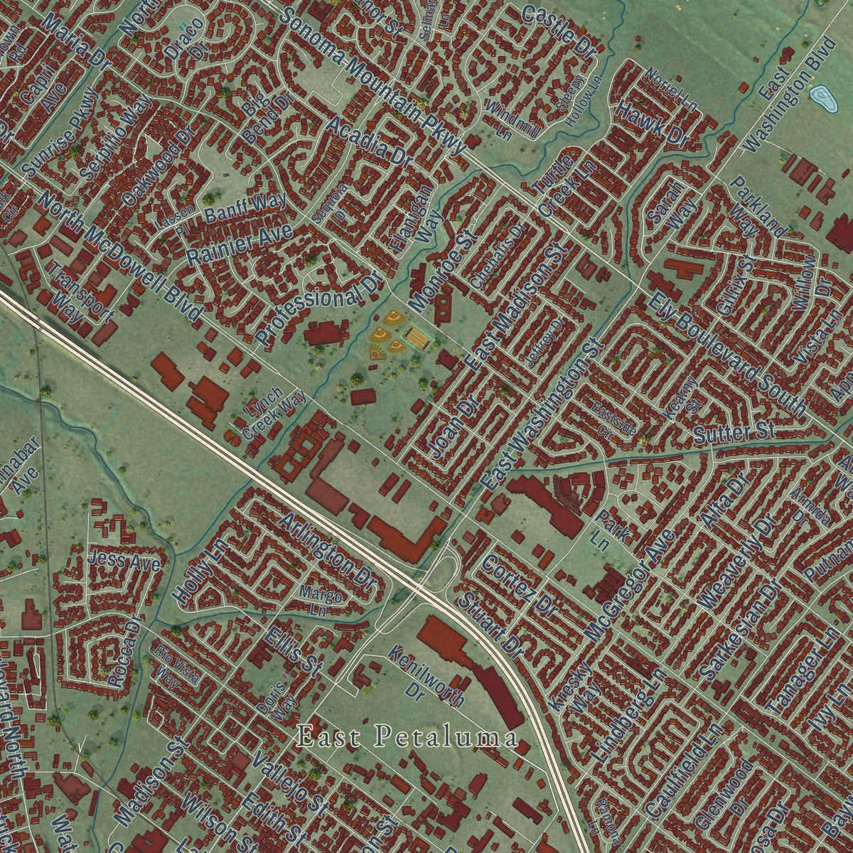 Close-up of the map of Petaluma, California print showing street and building detail