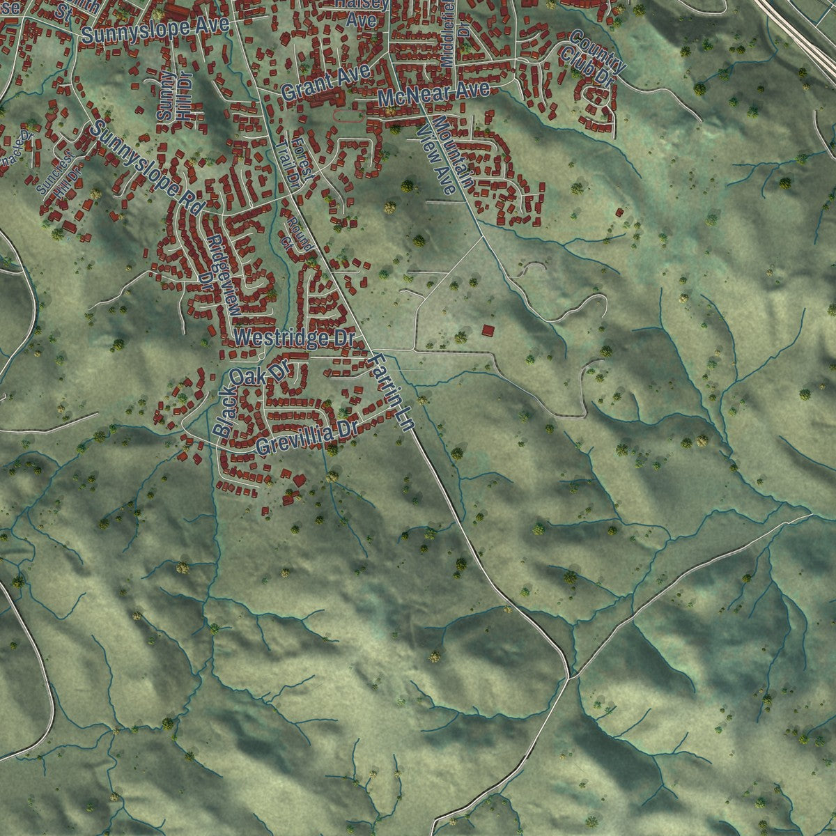 Second close-up of the map of Petaluma, California print showing more streets and buildings