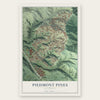 Piedmont Pines, California map print, the full design