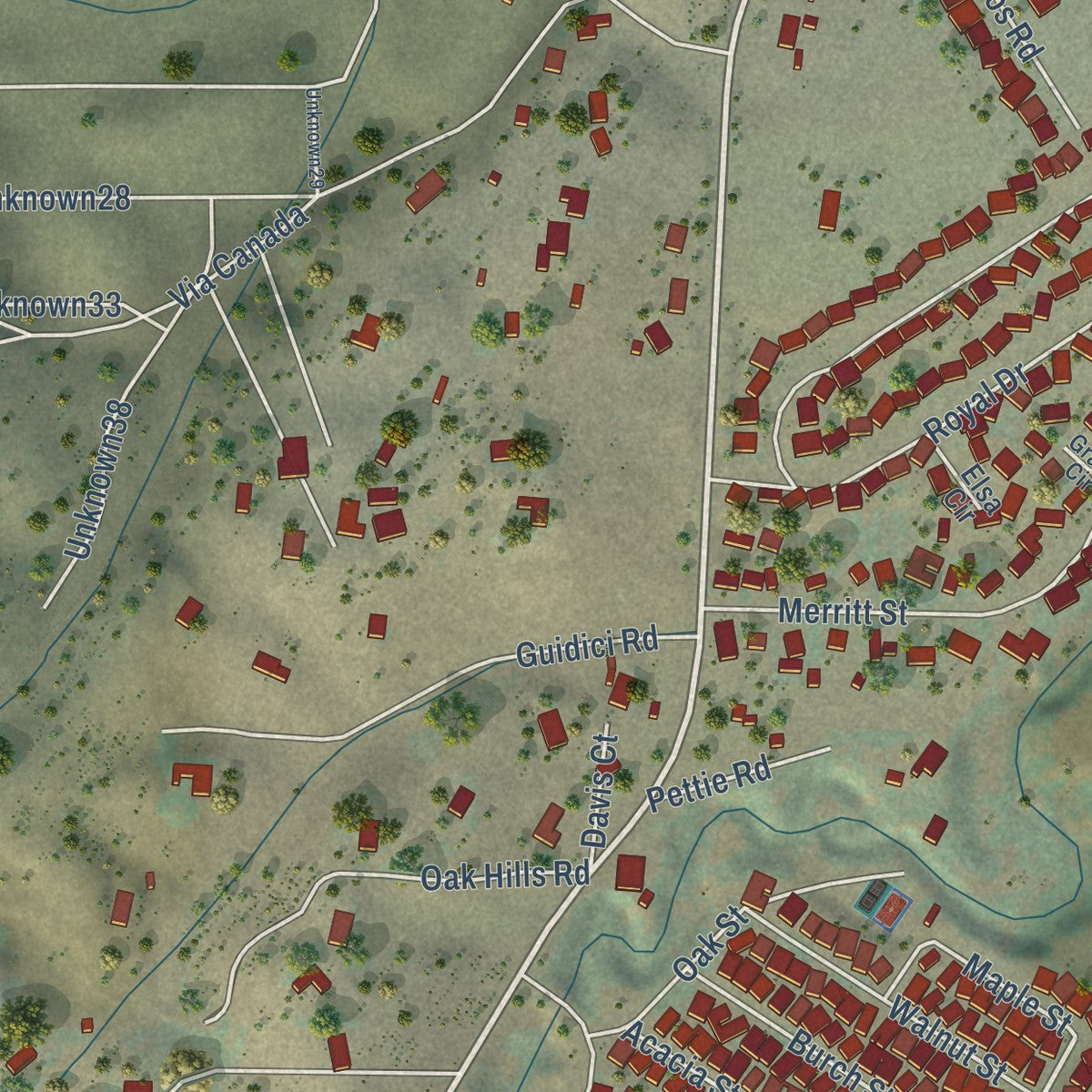 Close-up of the map of Pine Canyon, California print showing street and building detail