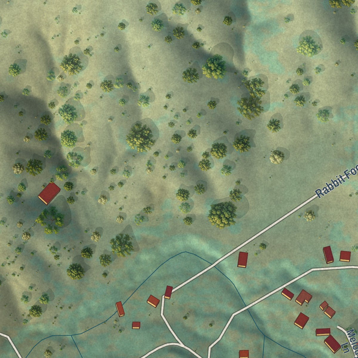 Close-up of the map of Pine Flat, California print showing street and building detail