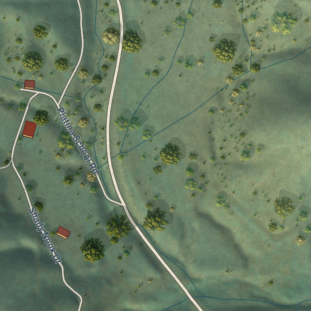 Close-up of the map of Platina, California print showing street and building detail