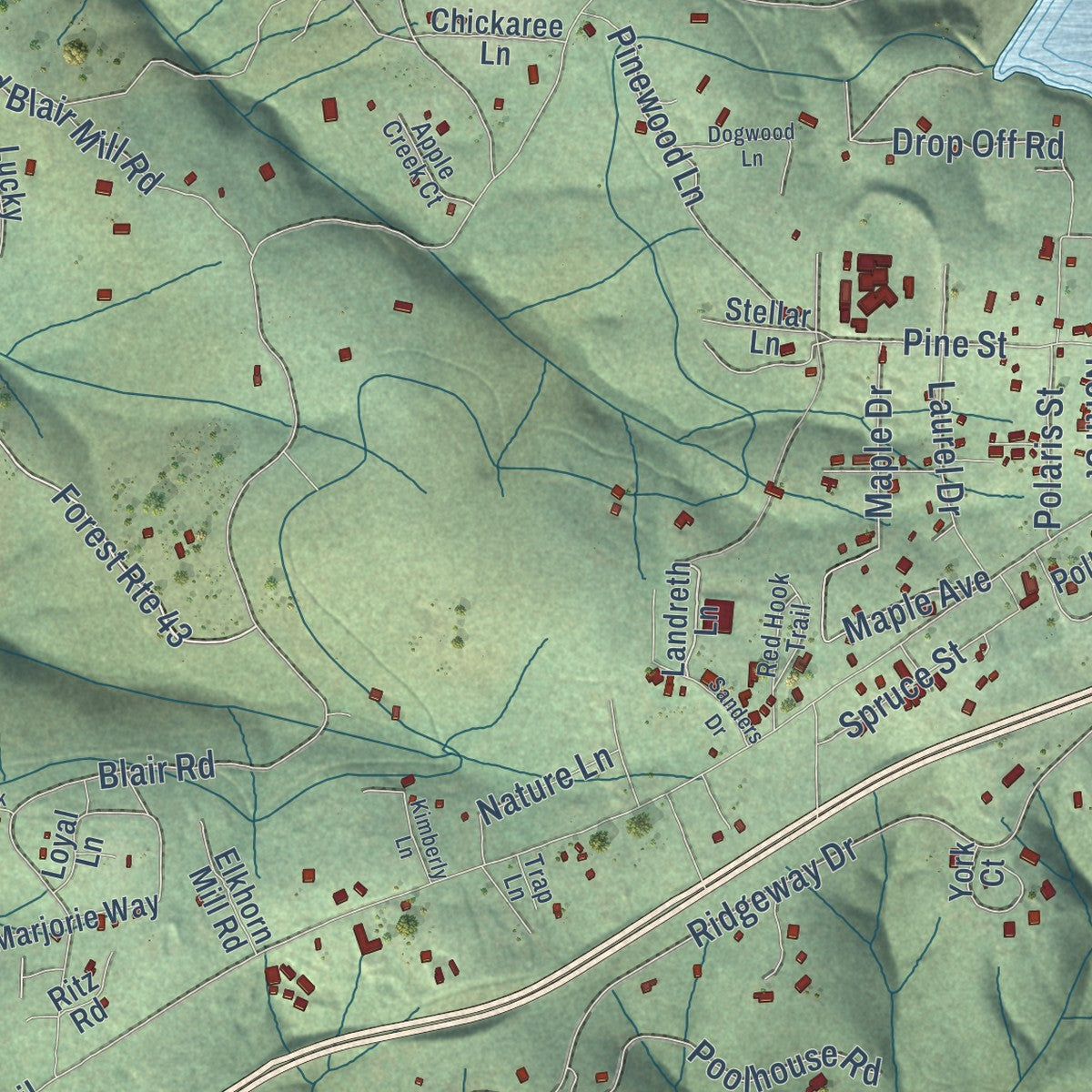 Second close-up of the map of Pollock Pines, California print showing more streets and buildings