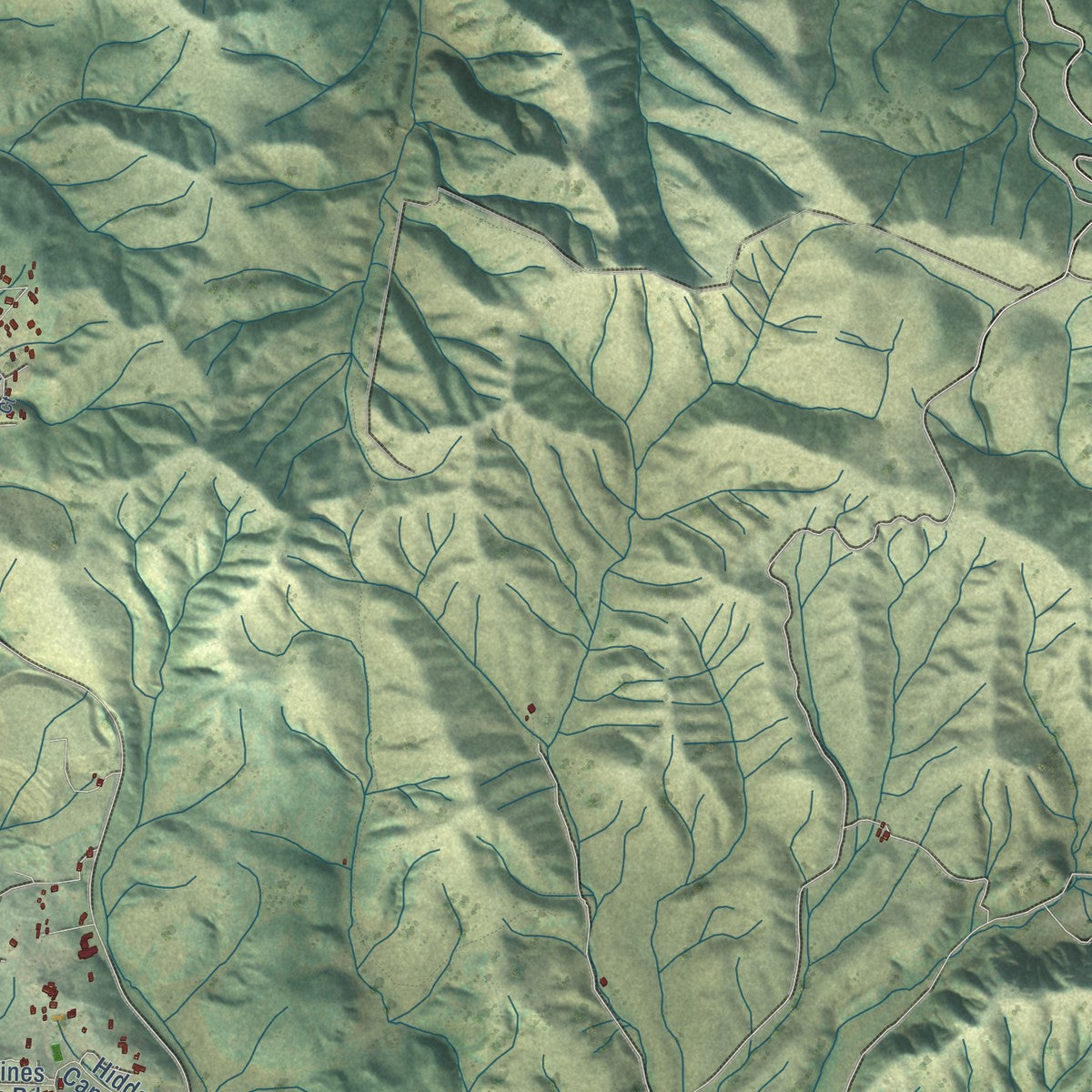 Second close-up of the map of Prunedale, California print showing more streets and buildings