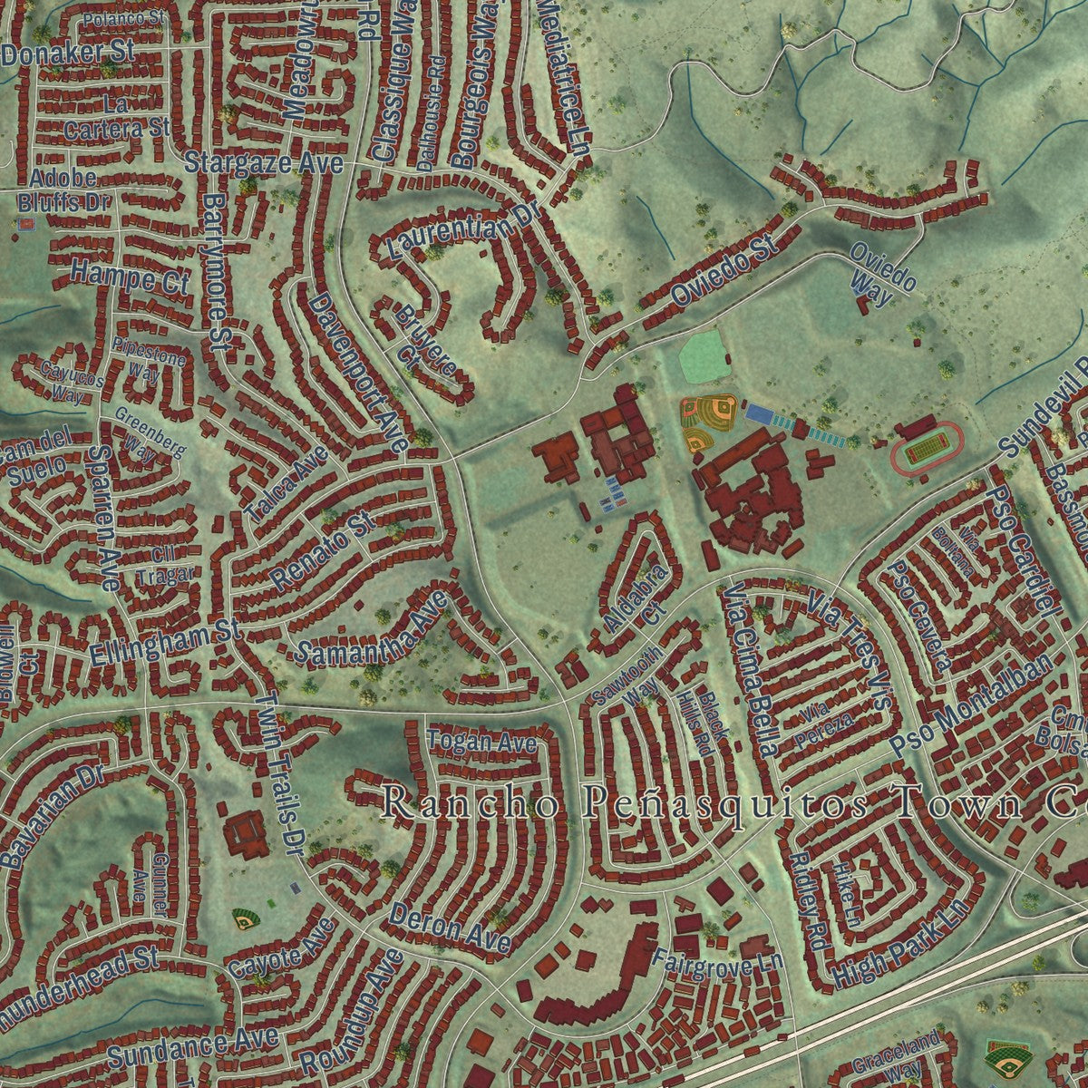 Close-up of the map of Rancho Penasquitos, California print showing street and building detail
