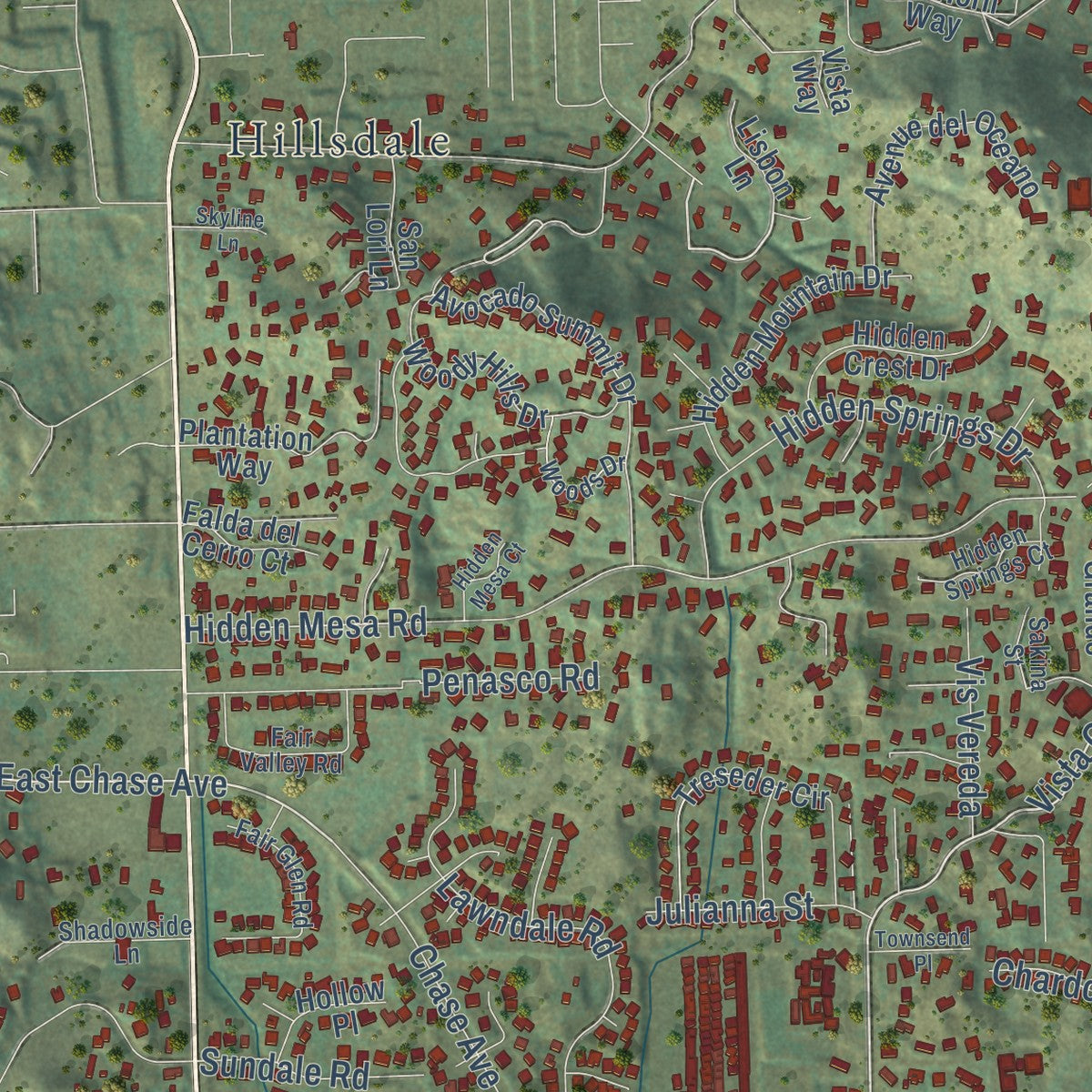 Close-up of the map of Rancho San Diego, California print showing street and building detail