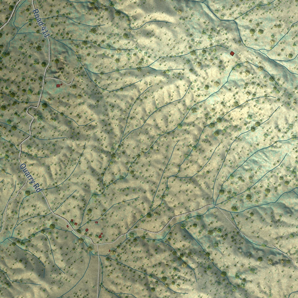 Close-up of the map of Raymond, California print showing street and building detail