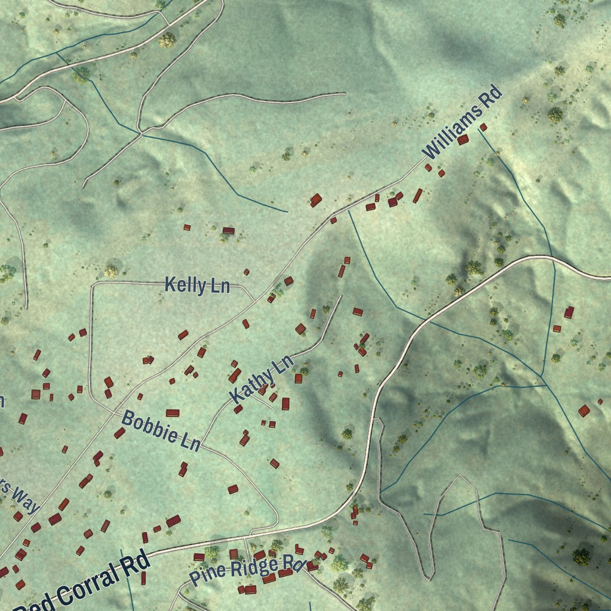 Close-up of the map of Red Corral, California print showing street and building detail