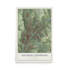 Map of San Juan Capistrano, California, 12 x 18 inch unframed archival matte print
