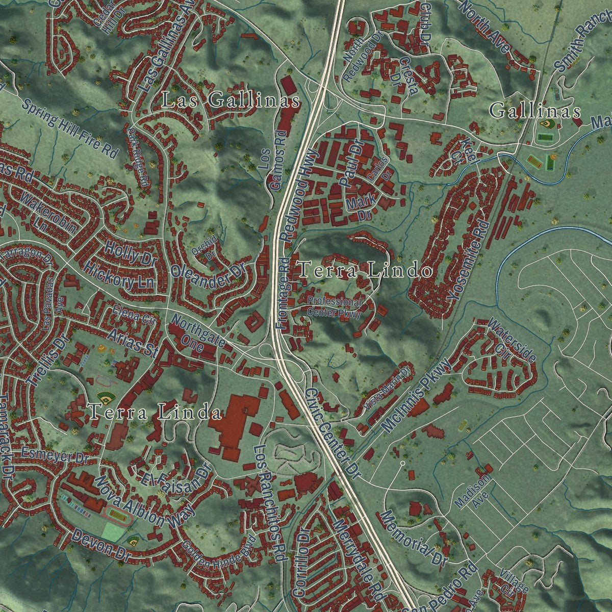 Second close-up of the map of San Rafael, California print showing more streets and buildings