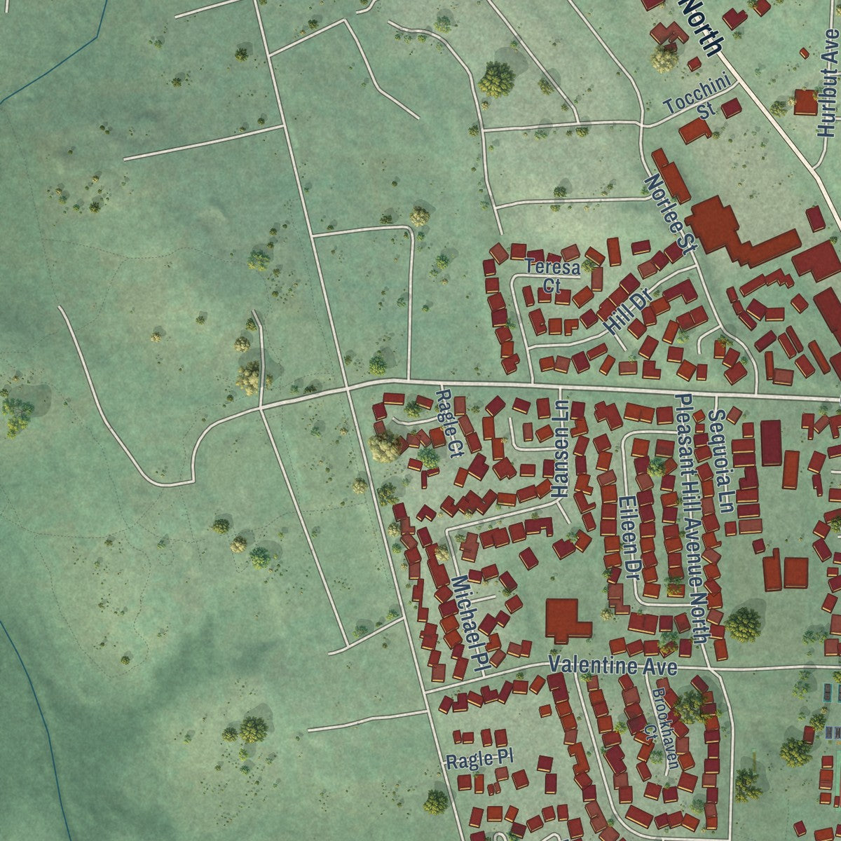 Second close-up of the map of Sebastopol, California print showing more streets and buildings