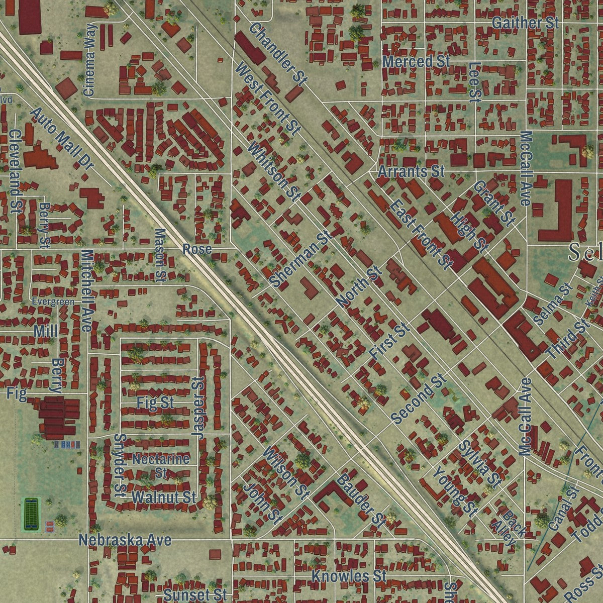 Close-up of the map of Selma, California print showing street and building detail