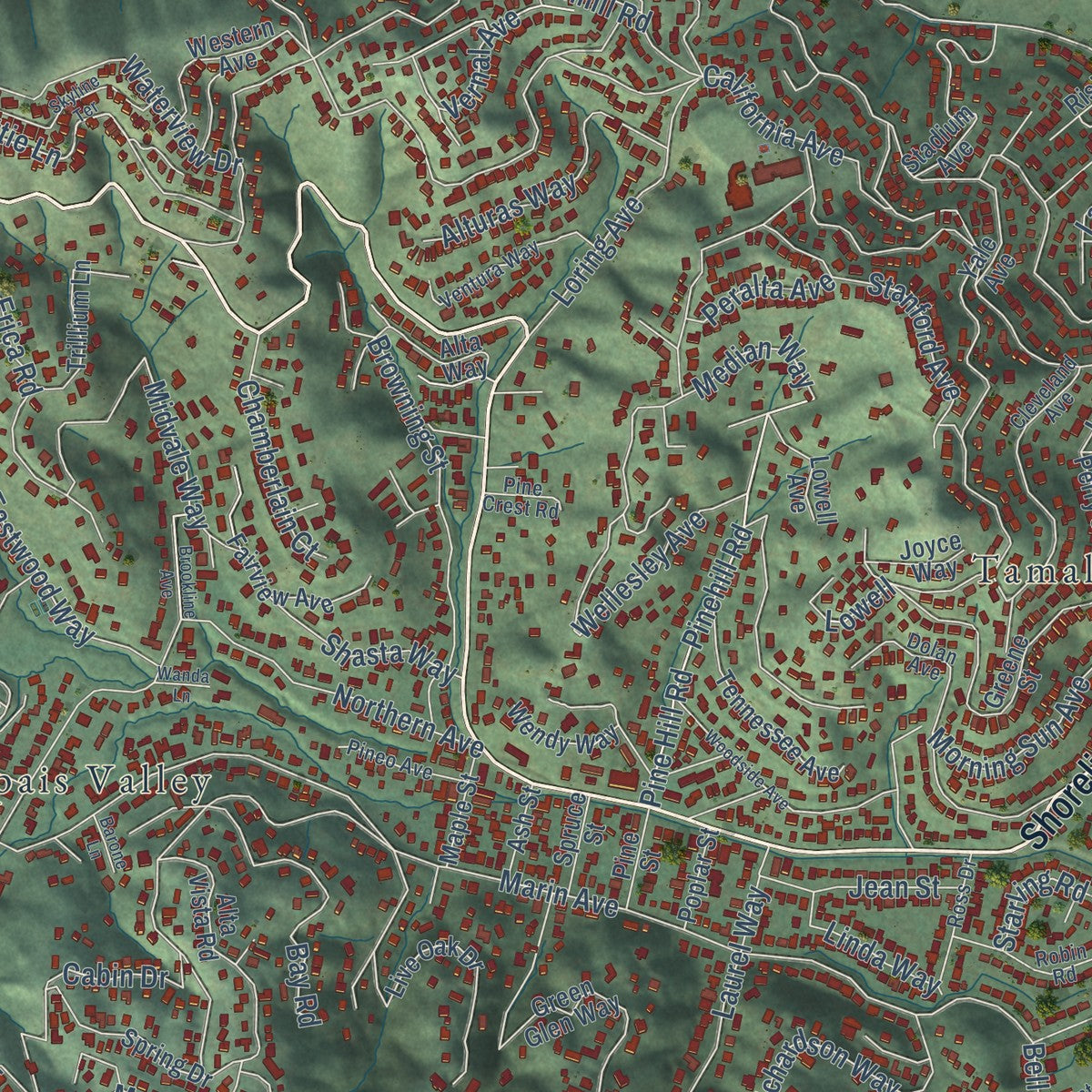 Close-up of the map of Tamalpais-Homestead Valley, California print showing street and building detail