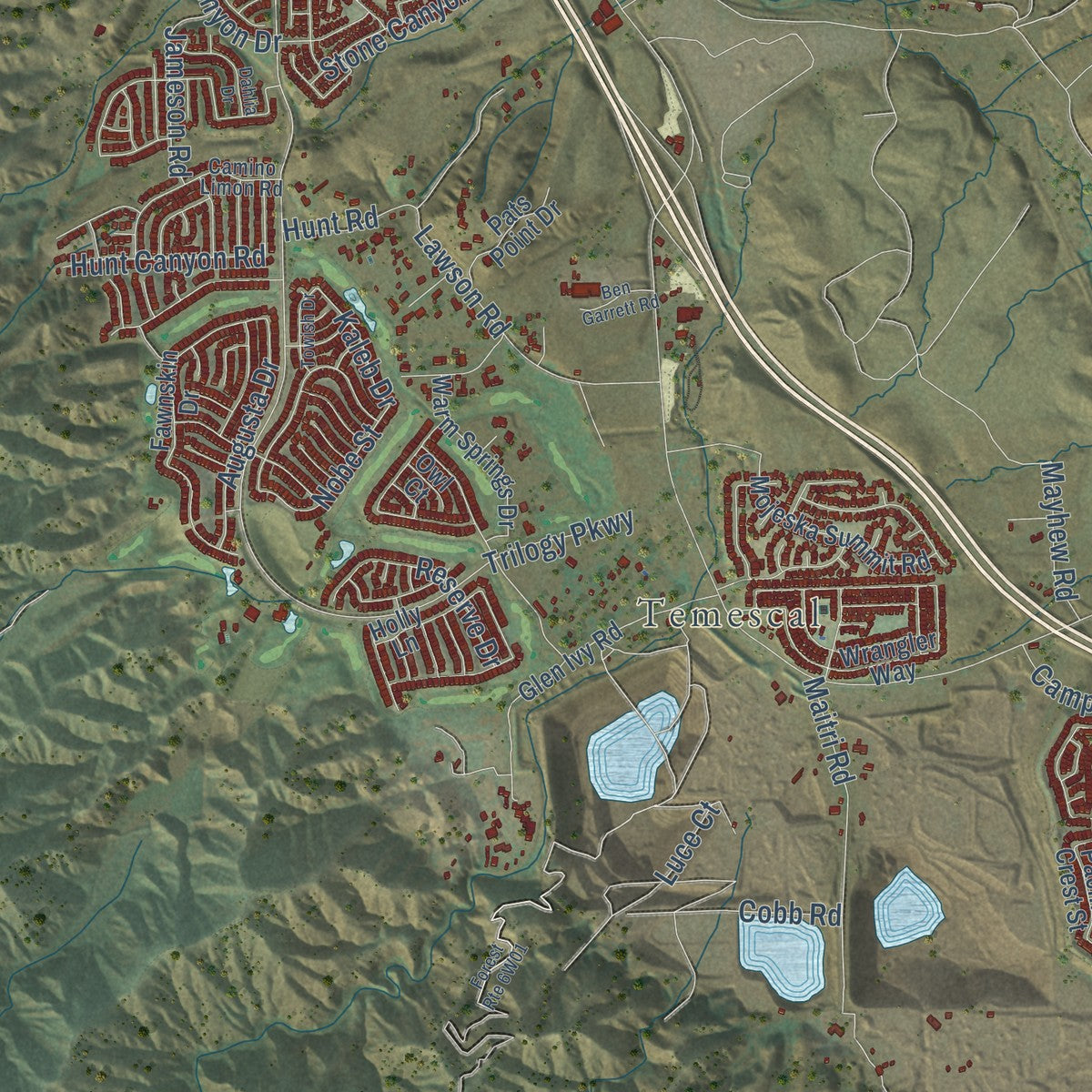 Close-up of the map of Temescal Valley, California print showing street and building detail