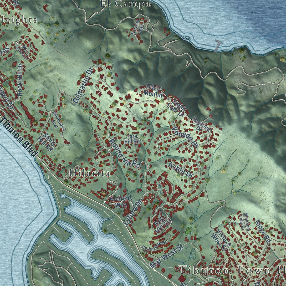 Close-up of the map of Tiburon, California print showing street and building detail