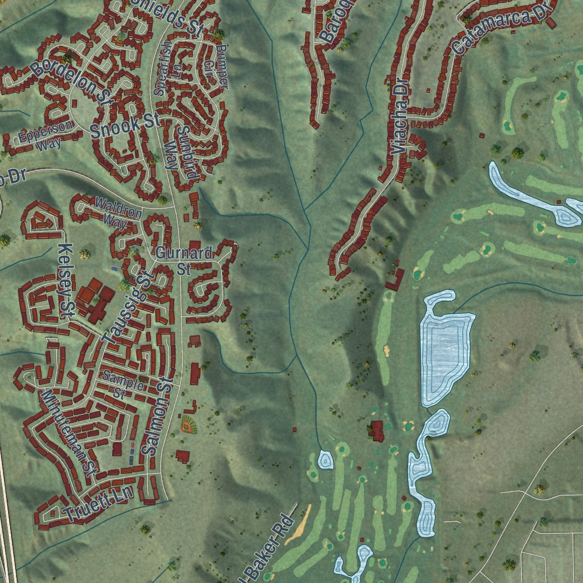 Second close-up of the map of Tierrasanta, California print showing more streets and buildings