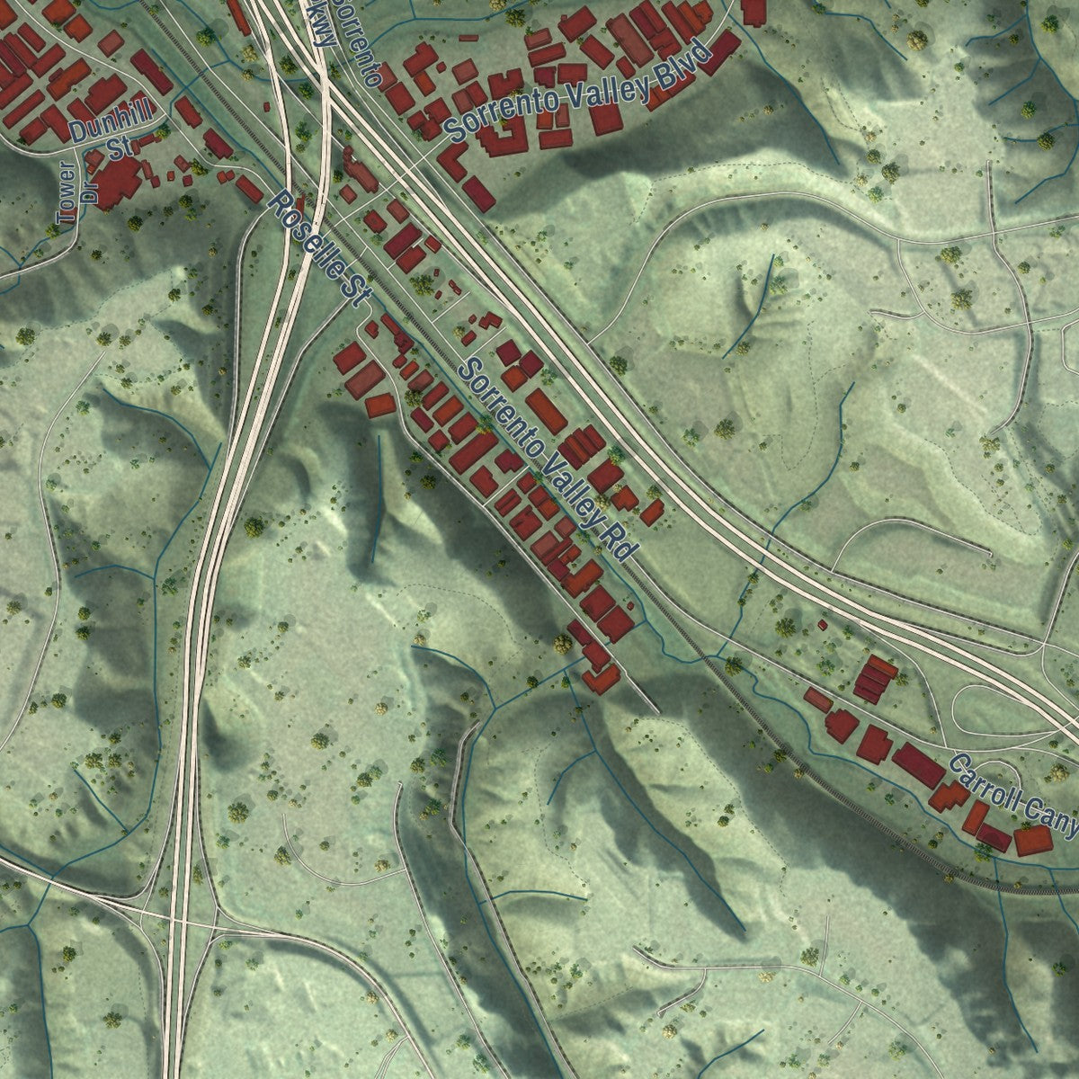 Second close-up of the map of Torrey Pines, California print showing more streets and buildings