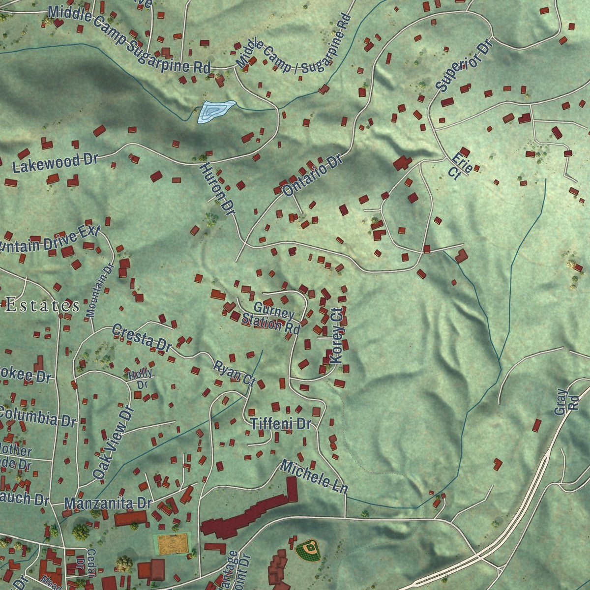 Close-up of the map of Twain Harte, California print showing street and building detail