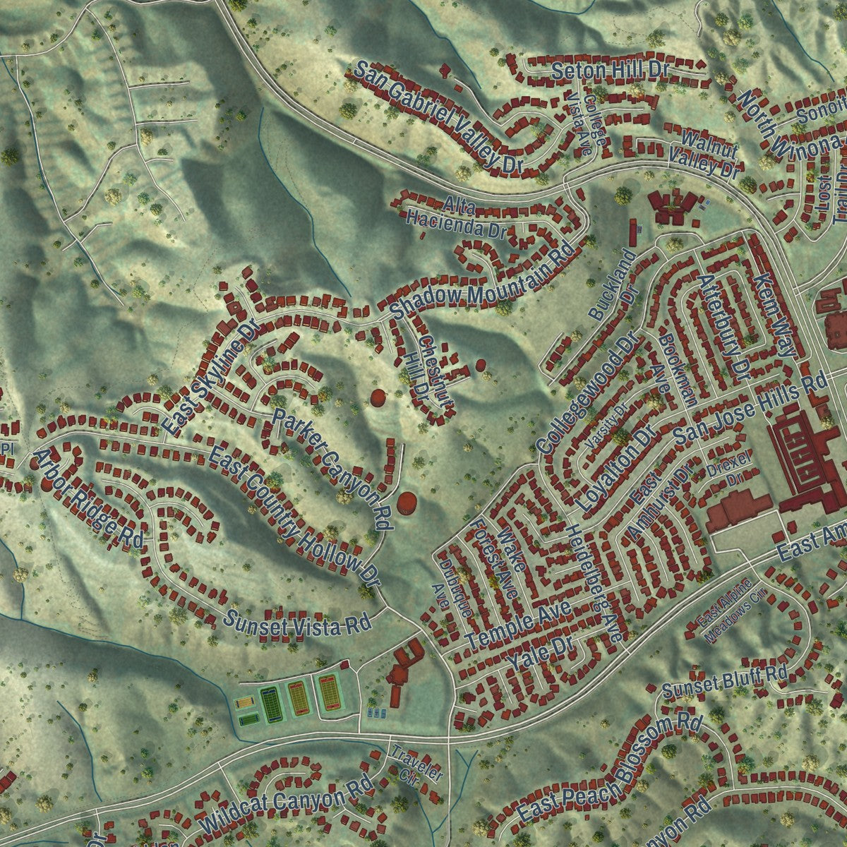 Second close-up of the map of Walnut, California print showing more streets and buildings