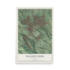 Map of Walnut Creek, California, 12 x 18 inch unframed archival matte print