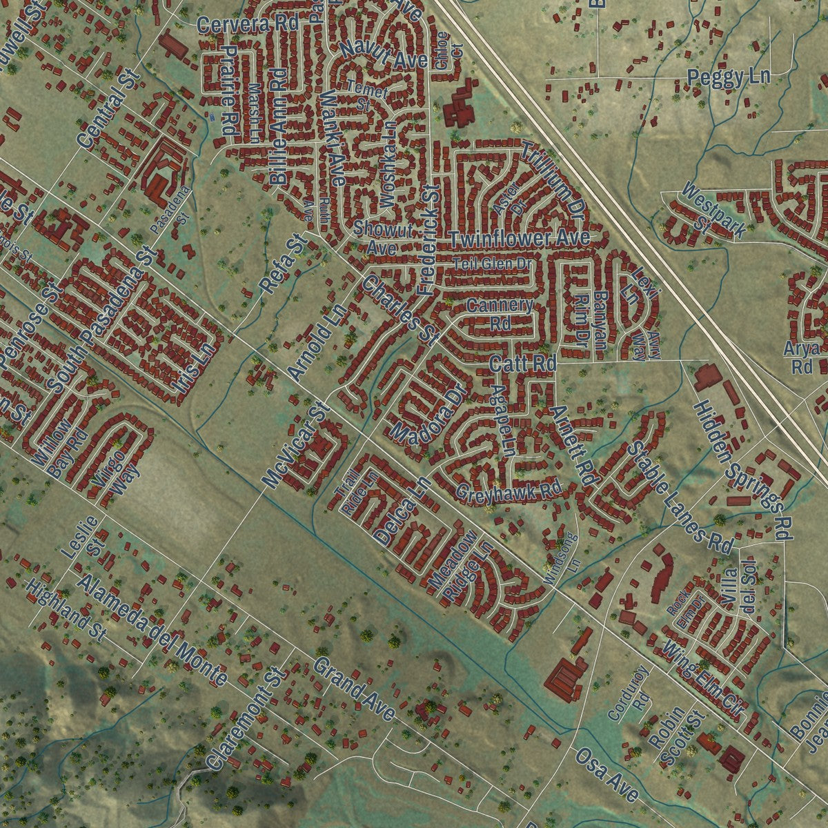 Close-up of the map of Wildomar, California print showing street and building detail